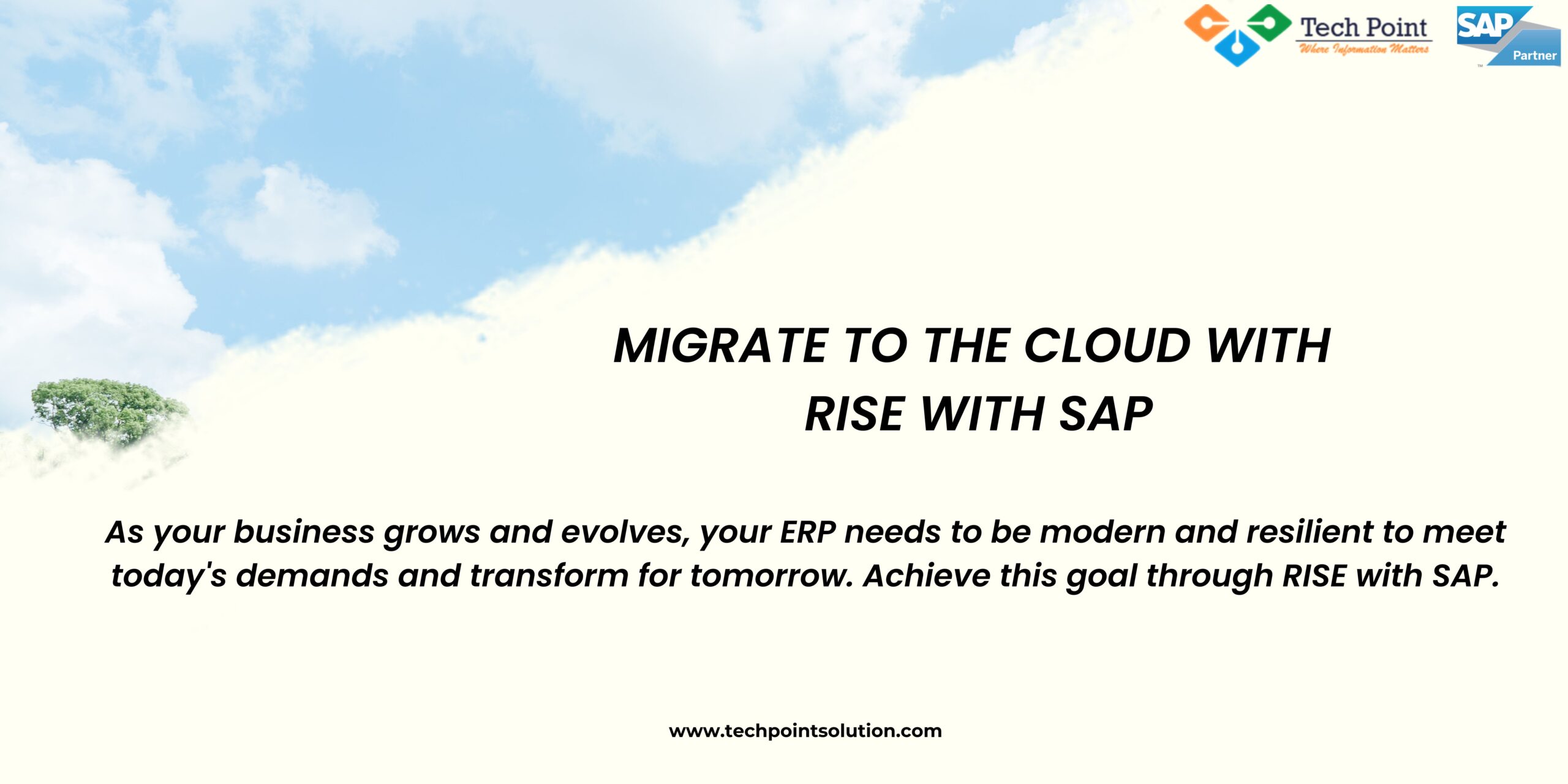 Migrate To The Cloud With RISE With SAP