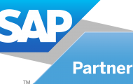 228-2285479_sap-partner-logo